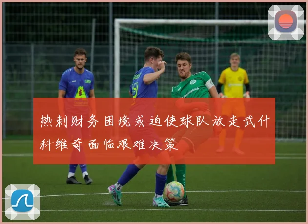 热刺财务困境或迫使球队放走武什科维奇面临艰难决策
