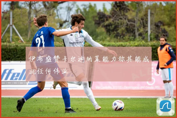 伊布盛赞卡尔迪纳莱能力称其能成就任何伟业